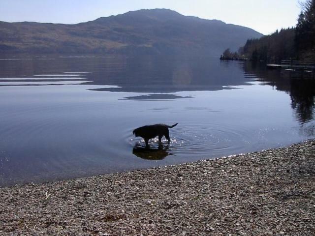 Tigh Na Bruach B&B Invermoriston Extérieur photo